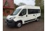 Westfalia Amundsen 540 D